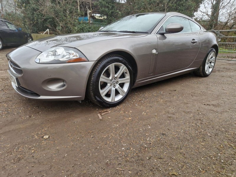 JAGUAR XK