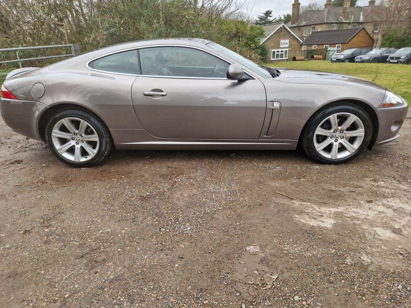 JAGUAR XK