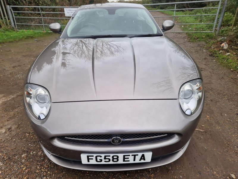 JAGUAR XK